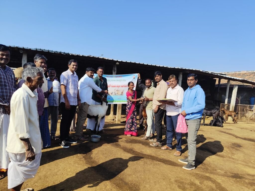 ఉచిత నట్టల నివారణ మందులు పంపిణీ