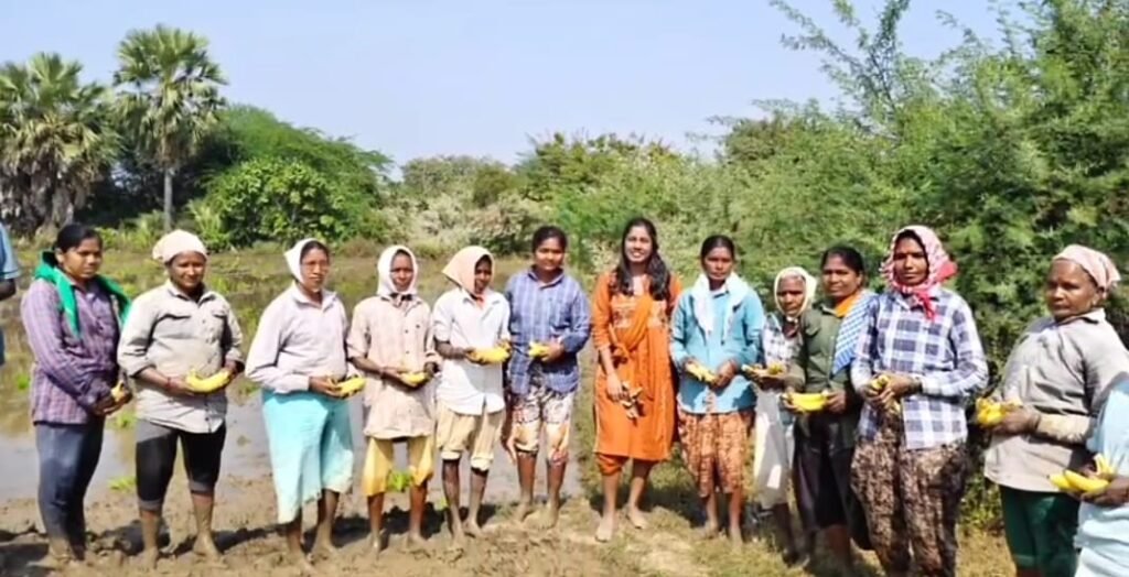 జగిత్యాల జిల్లాలో పొలం బాట పట్టిన ట్రైనీ ఐఏఎస్ హరిణి.