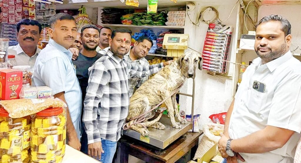 పెంపుడు కుక్కకు ‘నిలువెత్తు బంగారం’