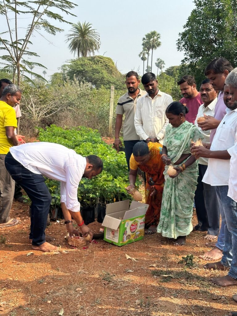 లక్ష్యం మేరకు మొక్కలు పెంచాలి.