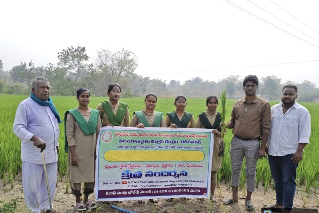 ముందస్తు యాసంగి వరి సాగు–రైతులకు నిపుణుల సూచనలు
