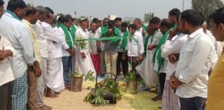 వరి ధాన్యం కొనుగోలు కేంద్రాలను సద్వినియోగం చేసుకోవాలి…తహసిల్దార్ వరప్రసాద్