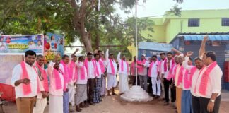 డబ్బాలో బి ఆర్ ఎస్ పార్టీ జెండా ఆవిష్కరణ