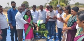 అప్పారావుపేటలో ఐకెపి వరి కొనుగోలు కేంద్రం ప్రారంభం