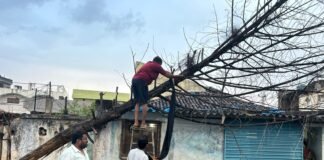 కోరుట్ల పట్టణంలో గాలివానకు విరిగిపడిన చెట్టు