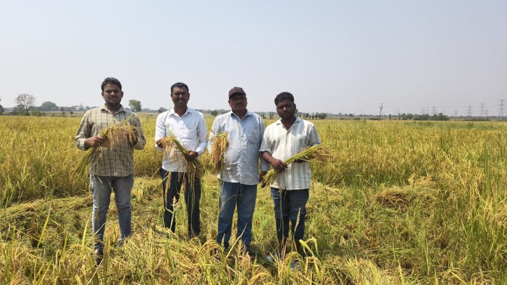 సుస్థిర వ్యవసాయ కేంద్రం ఆధ్వర్యంలో కలుపు నివారణ ప్రయోగం