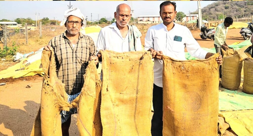 పూడూరు పాక్స్ వరి కొనుగోలు కేంద్రంలో పాత సంచుల వినియోగం