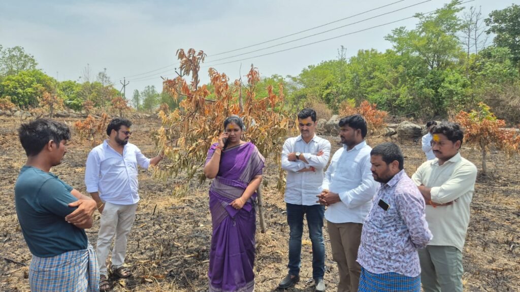 మామిడి రైతుకు నష్టపరిహారం అందించాలి