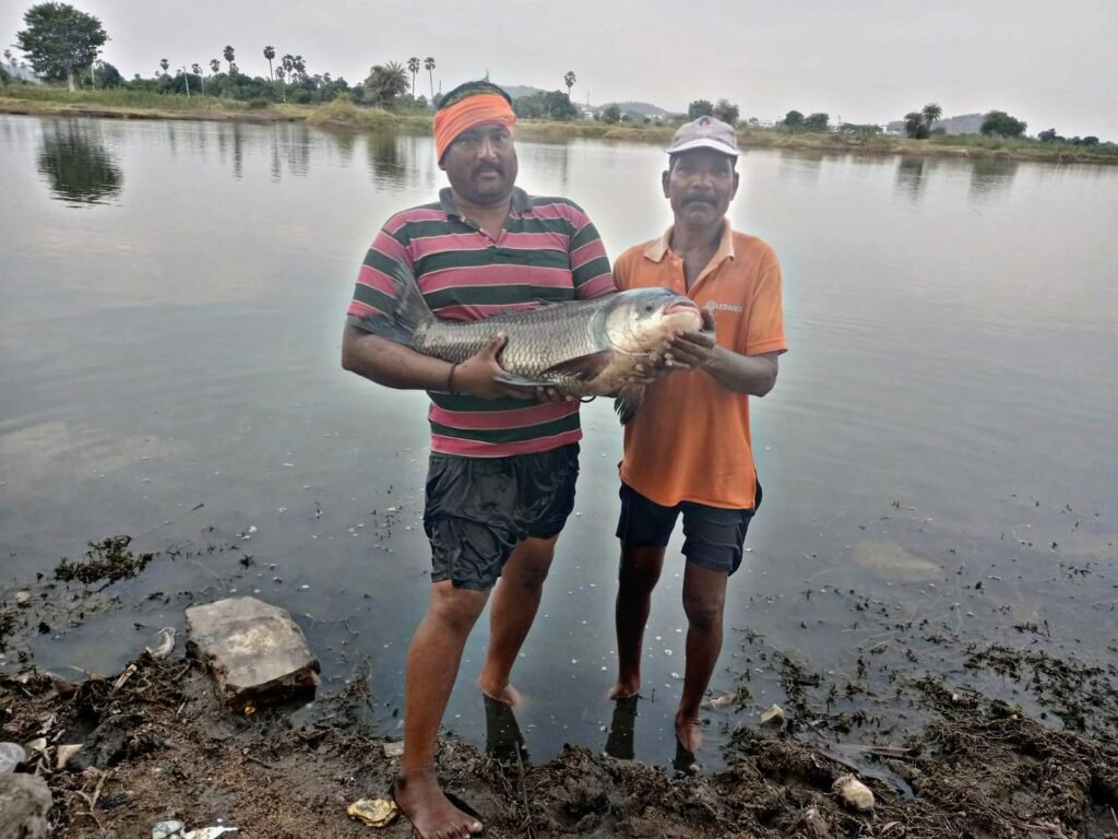 మత్స్యకారుల వలకు చిక్కిన భారీ చేప
